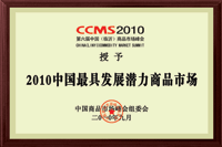 2010中國最具發(fā)展?jié)摿ι唐肥袌? hide-alt=